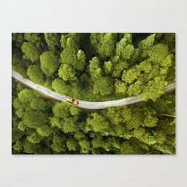 New York in Central Park Canvas Print