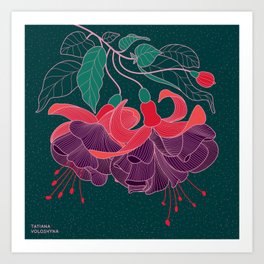 Fuchsia Flowers Art Print