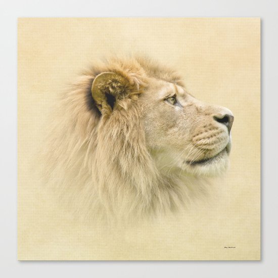 Lion II Canvas Print