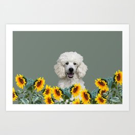 Poodle Sunflower blossoms Art Print | Poodle, Summer, Animal, Collage, Flower, Sunflower, Dogs, Childrendesign, Funny, Graphicdesign 