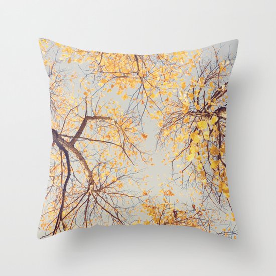Autumn Sky Throw Pillow