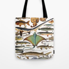 Adolphe Millot - Poissons A - French vintage nautical poster Tote Bag