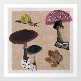 Fantastic Fungi Art Print