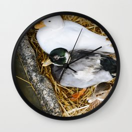 Colorful ducks in the barn/ animal photography / Fine art print Wall Clock