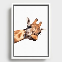 Giraffe portrait Framed Canvas