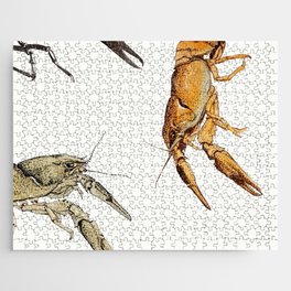 Julie de Graag - Sketches of crayfish Jigsaw Puzzle