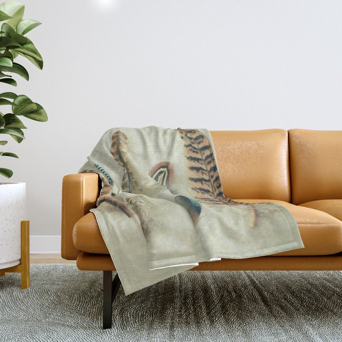 The Feather Collection Throw Blanket