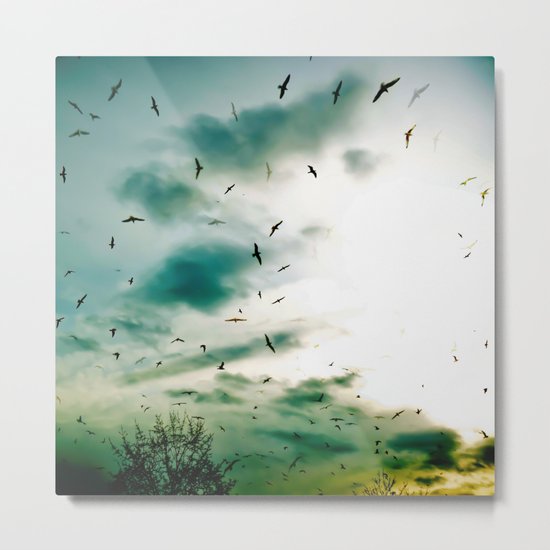 Descendants of Icarus Metal Print