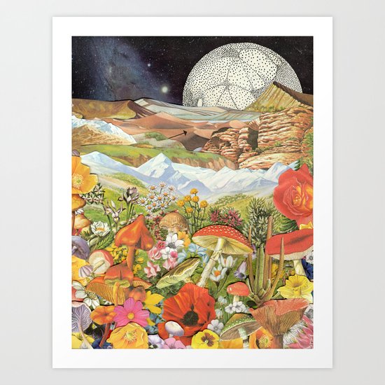 Shrooms Art Print