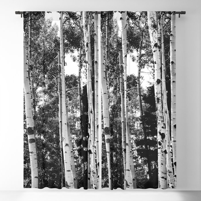 Aspen Forest - Black And White Nature Photography Blackout Curtain