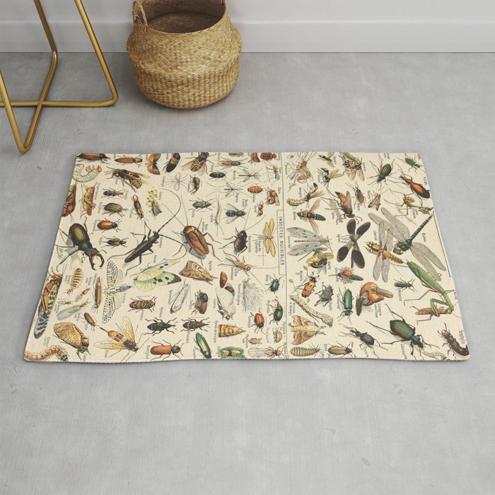 Insect Vintage Science Chart Rug