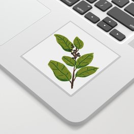 Caribbean Coffee Beans Plants Sticker