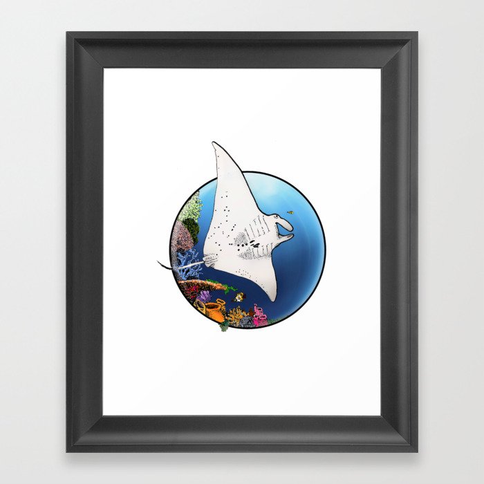 Manta Flight Framed Art Print