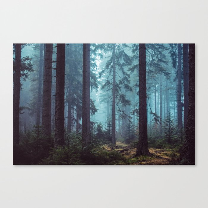 In the Pines Canvas Print