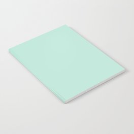 Light Aqua Green Solid Color Pantone Bay 12-5507 TCX Shades of Blue-green Hues Notebook