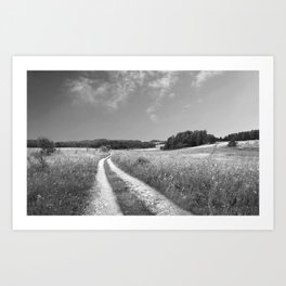 Country roads (through the spring green meadow) black and white landscape portrait photograph Art Print