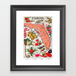 Florida The Everglades State Map Vintage Advertisement Framed Art Print