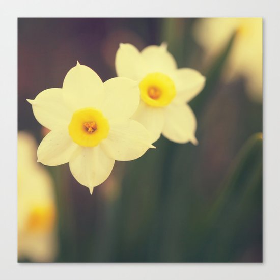 Two of a Kind Canvas Print