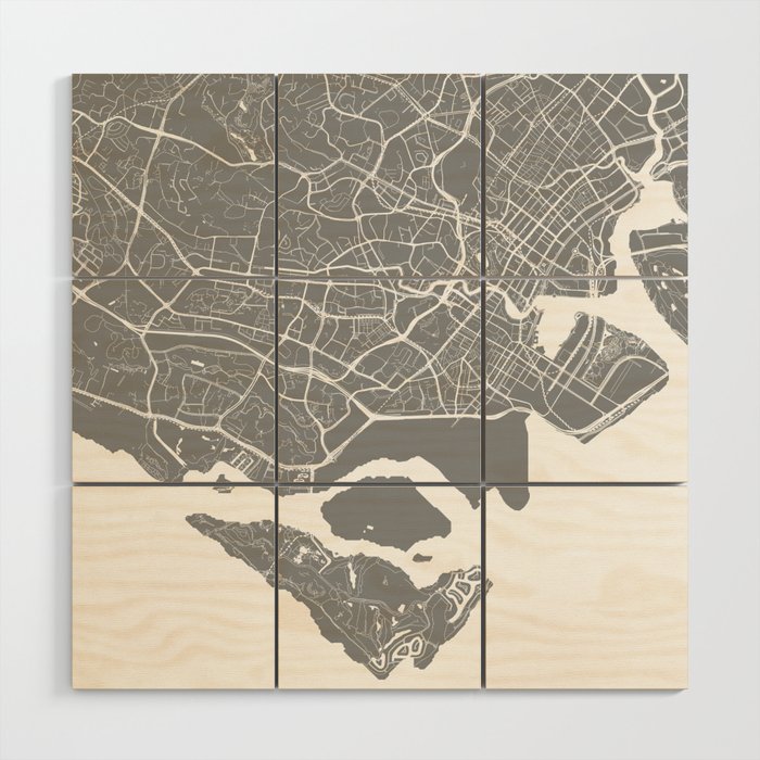 Singapore City Map - Grey Wood Wall Art