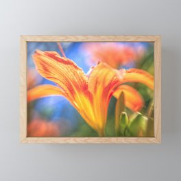 Orange Daylily with Soft Focus Framed Mini Art Print