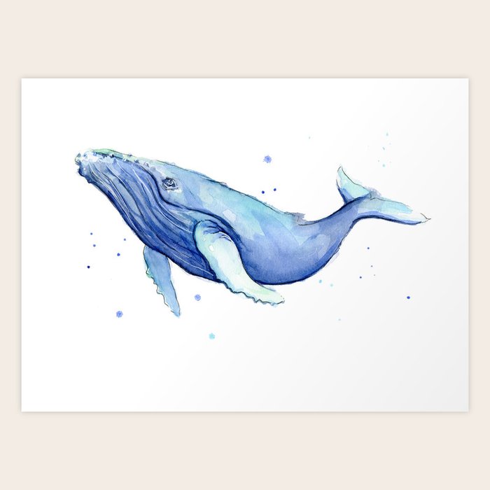 Humpback Whale Watercolor Art Print By Olechka