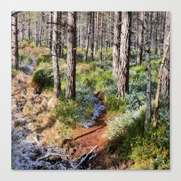 Scottish Highlands Spring Nature Scene in I Art Canvas Print