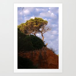 Tree on the Algarve coast Art Print