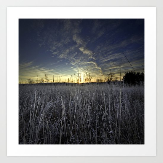 At Dawn in the Grass Art Print