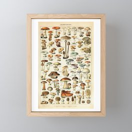 Vintage Mushroom & Fungi Chart by Adolphe Millot Framed Mini Art Print