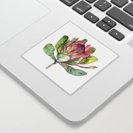 Protea Flower Sticker