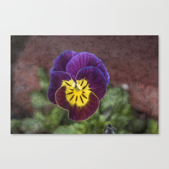 Johnny Jumper Canvas Print