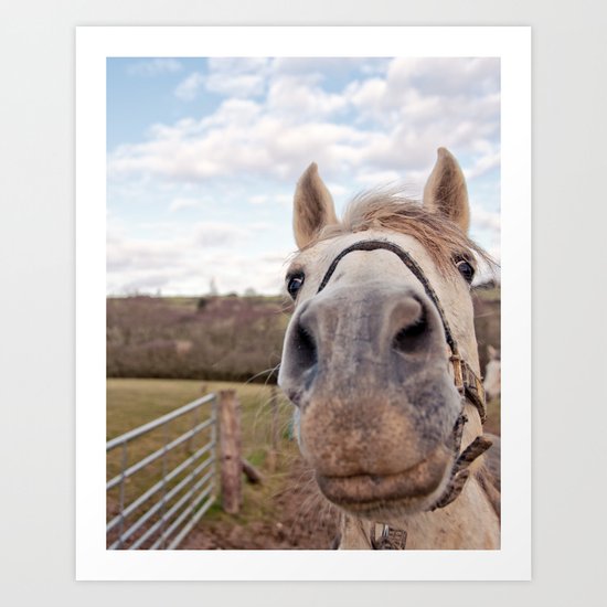 look at my horse... Art Print