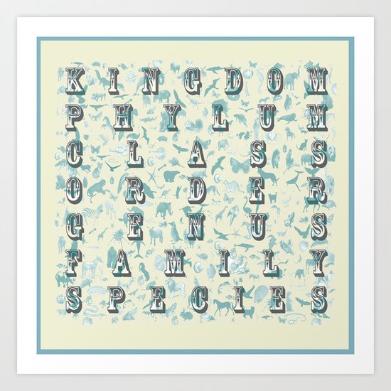 Taxonomy Art Print