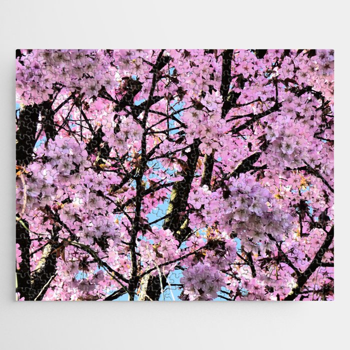 Spring Pink Cherry Blossom in the Scottish Highlands in I Art Jigsaw Puzzle