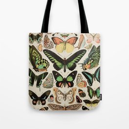Papillon II Vintage French Butterfly Chart by Adolphe Millot Tote Bag