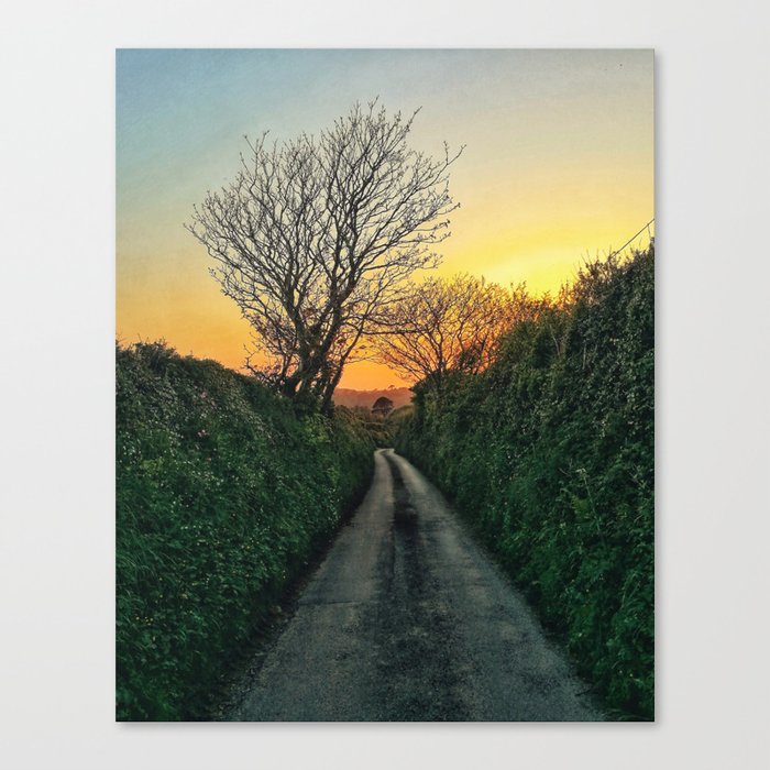 On the way to Caerhays Canvas Print by photobymada