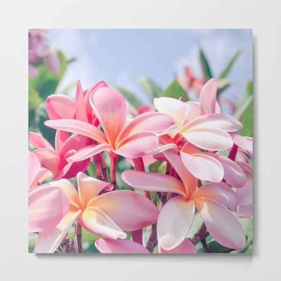 Aloha Metal Print