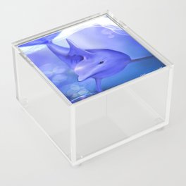 Dolphin Spirit Acrylic Box