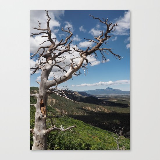 Mesa Verde Canvas Print