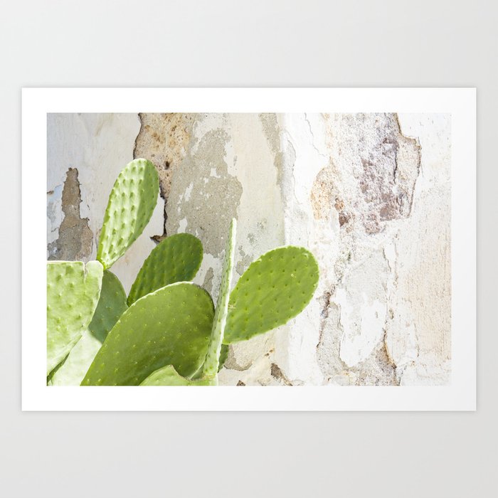 Cactus texture / Bright green Barbary fig cactus in front of rustic wall / m.henina Art Print