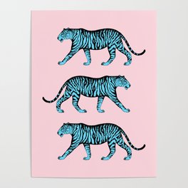 Tigers (Pink and Blue) Poster