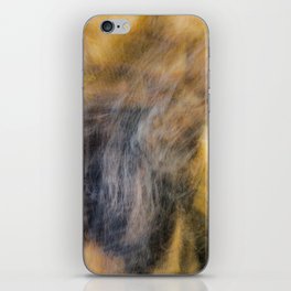 Brushed Up With The Wild iPhone Skin
