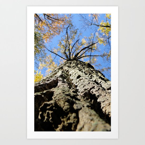 Cooper Smith Park Art Print