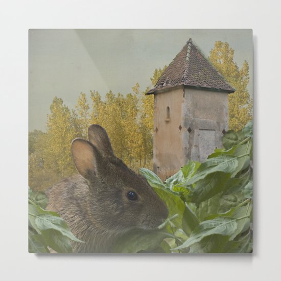 Peter Metal Print