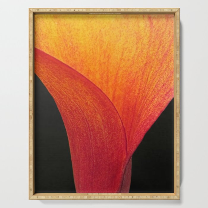 Contemporary Fiery Calla Lily Flower Floral Art A409 Serving Tray