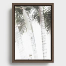 Coastal Palms Framed Canvas
