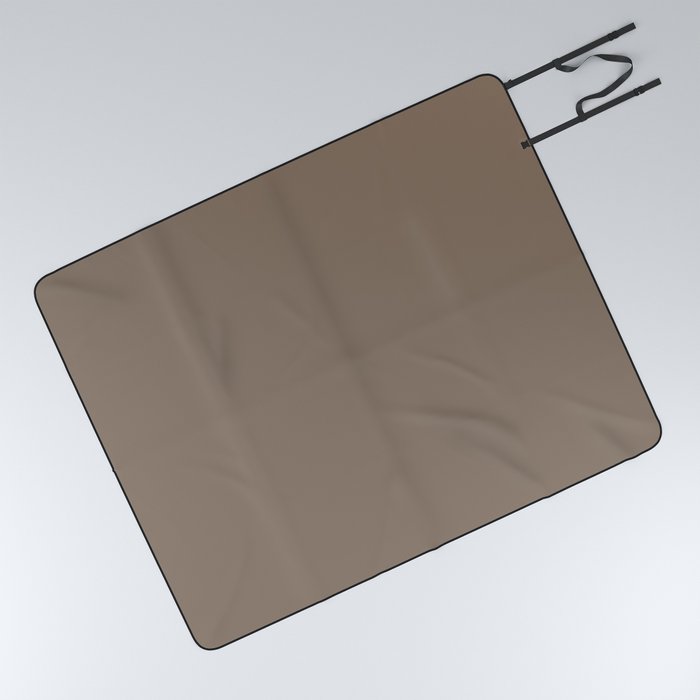 Dark Medium Brown Single Solid Color Coordinates with PPG Portabella PPG15-32 Down To Earth Picnic Blanket