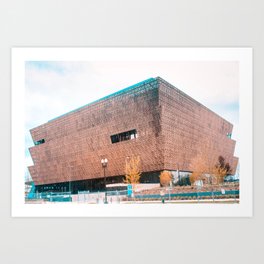 National Museum of African American History and Culture Art Print