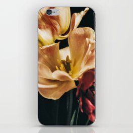 Sienna Flowers iPhone Skin