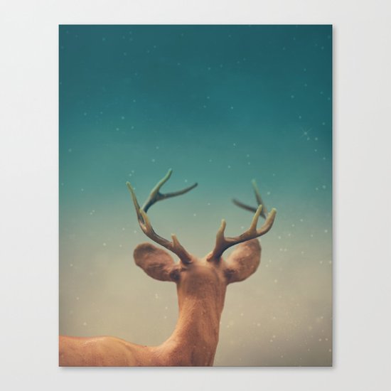 Stargazer Canvas Print